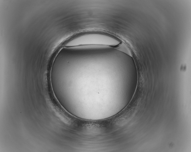 X0000091460535200709061758