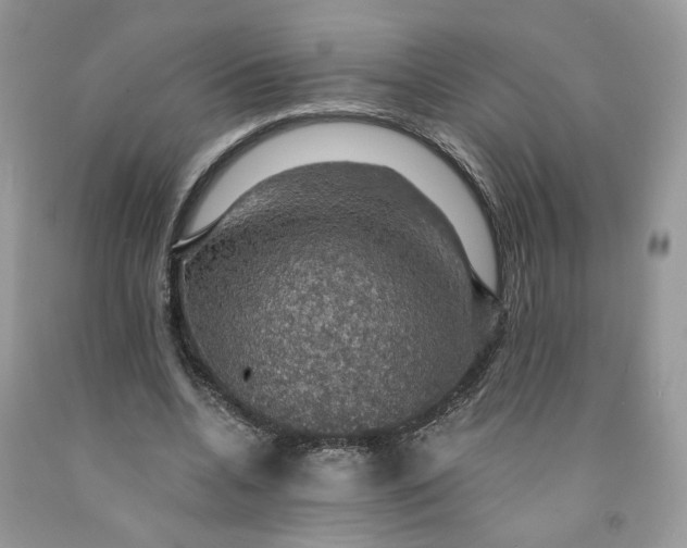 X0000091460536200709061758