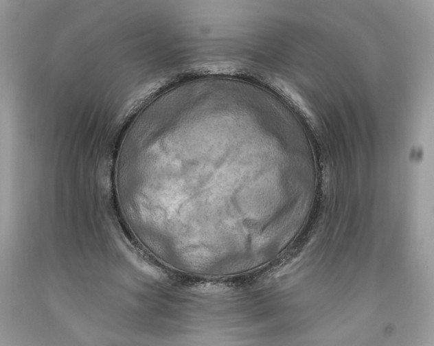 X0000091460537200709061758