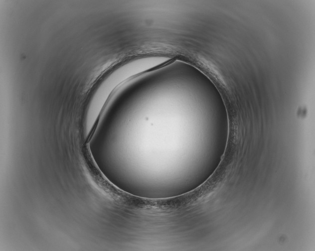 X0000091460538200709061758