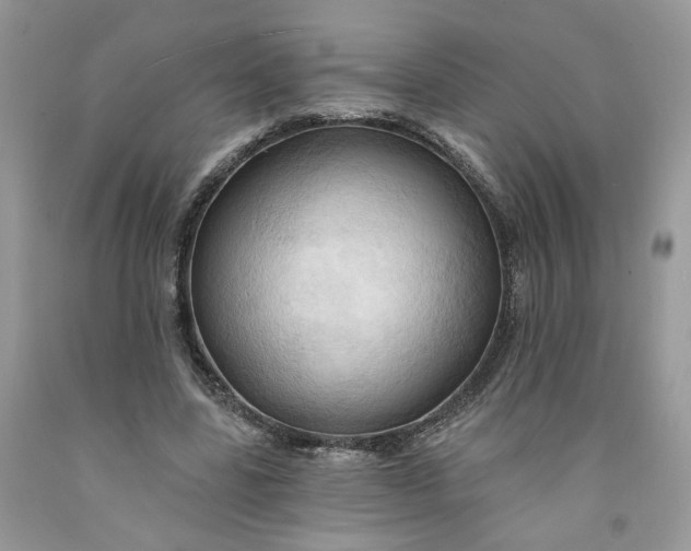 X0000091460539200709061758