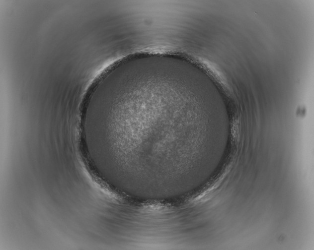 X0000091460540200709061758