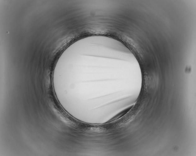 X0000091460541200709061758