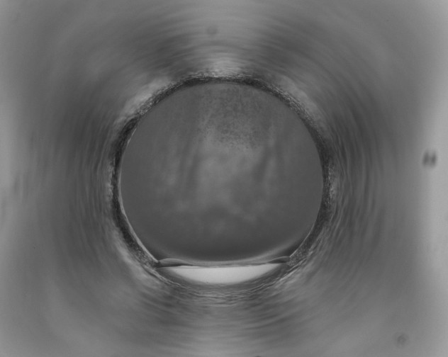 X0000091460542200709061758