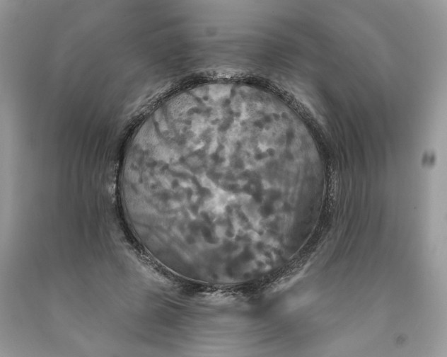 X0000091460545200709061758