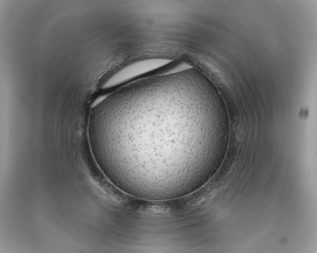 X0000091460546200709061758