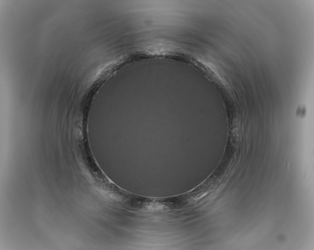 X0000091460547200709061758