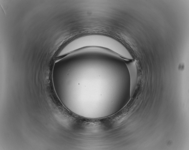 X0000091460548200709061758