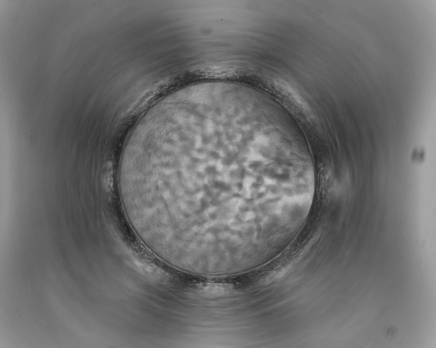 X0000091460549200709061758