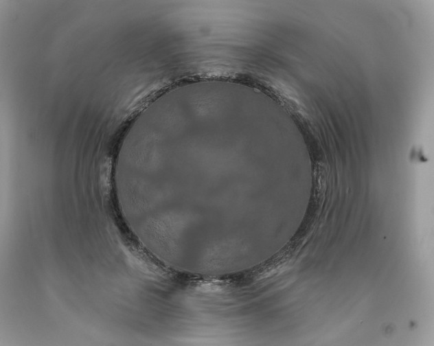 X0000091460550200709061758