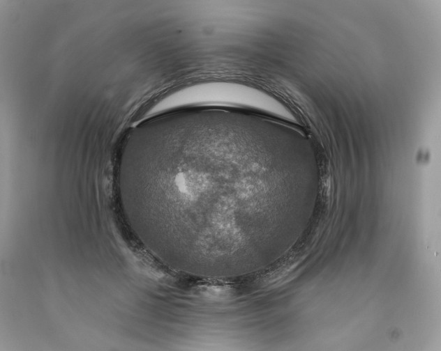 X0000091460552200709061758