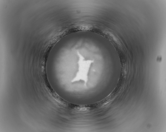 X0000091460553200709061758