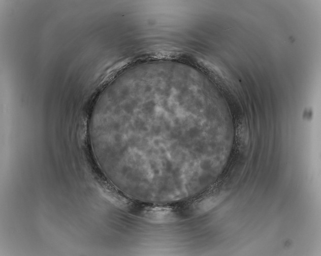 X0000091460554200709061758