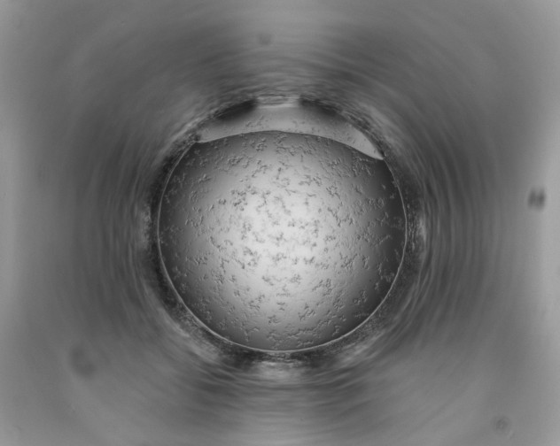 X0000091460556200709061758