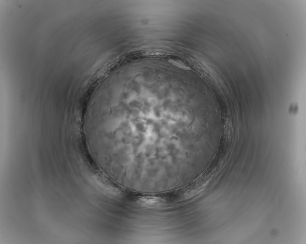 X0000091460557200709061758