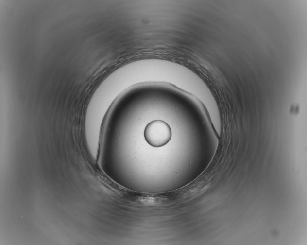 X0000091460558200709061758