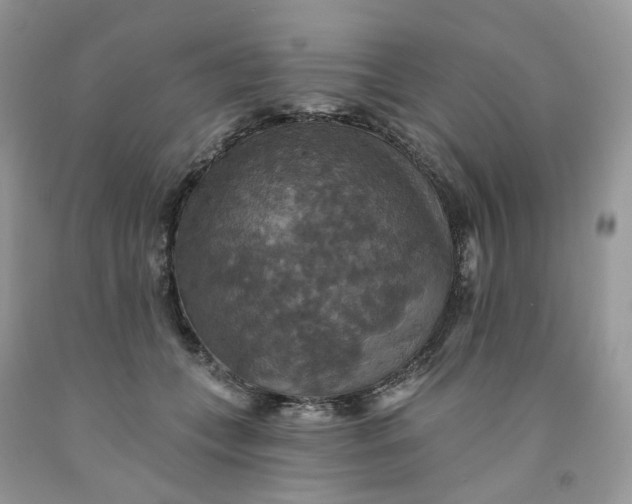 X0000091460559200709061758