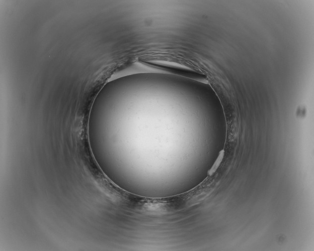 X0000091460560200709061758