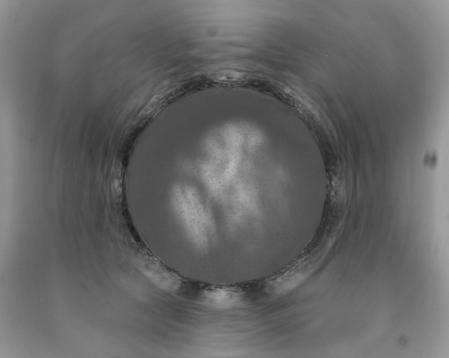 X0000091460561200709061758