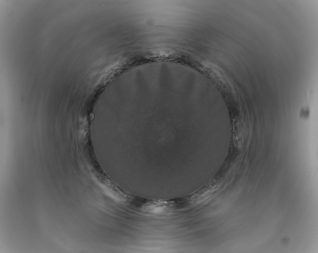 X0000091460563200709061758