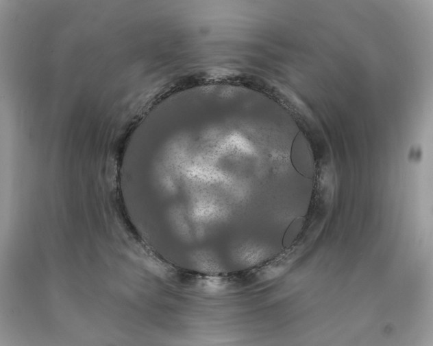 X0000091460565200709061758