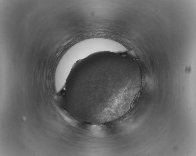 X0000091460566200709061758