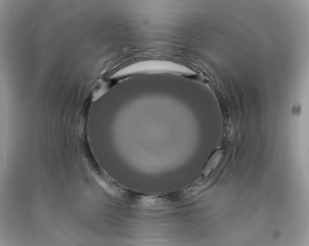 X0000091460568200709061758