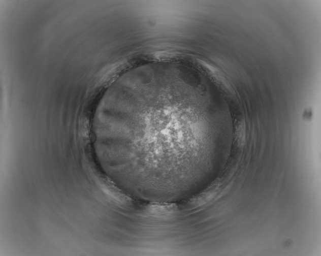 X0000091460571200709061759
