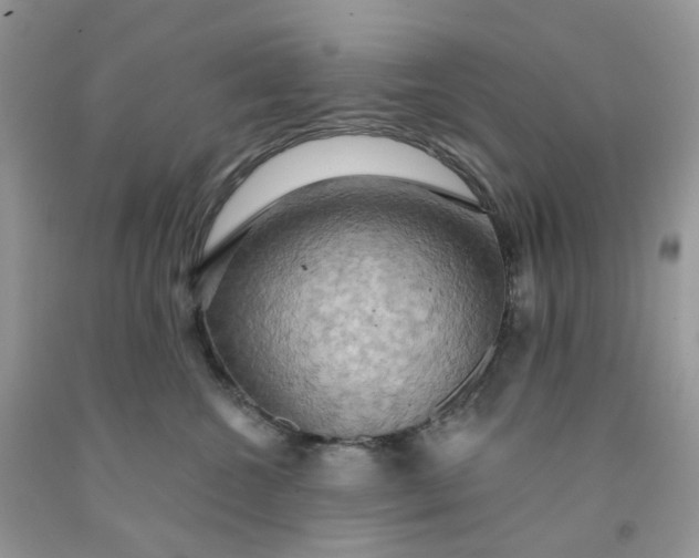 X0000091460572200709061759