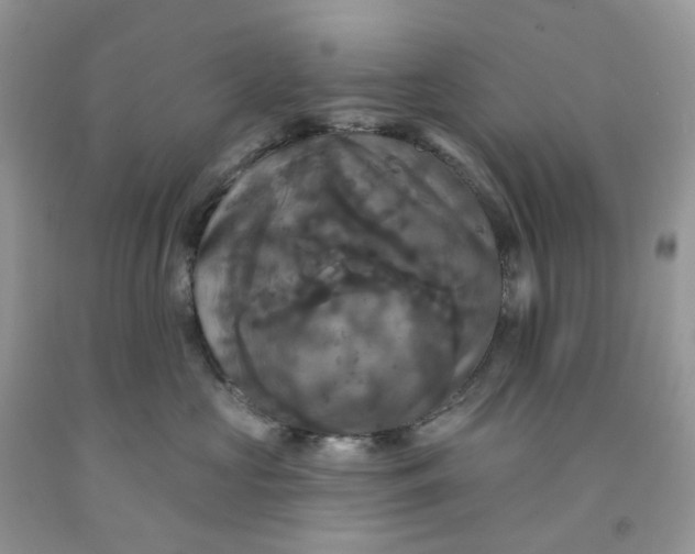 X0000091460573200709061759