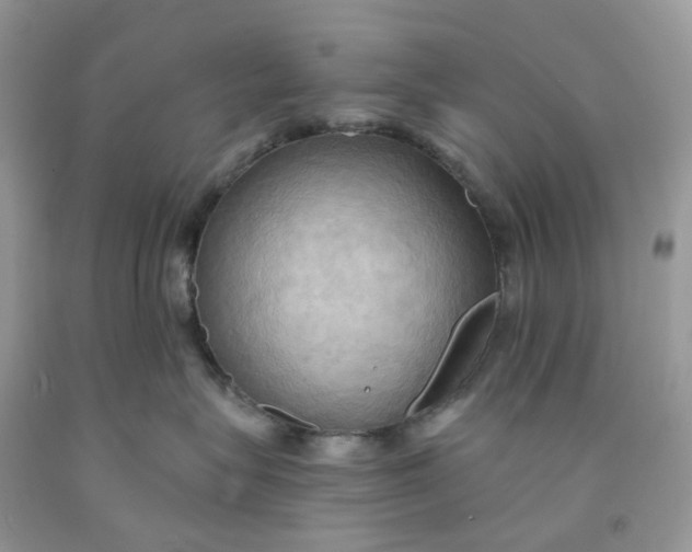 X0000091460575200709061759