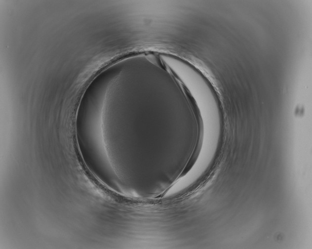 X0000091460577200709061758