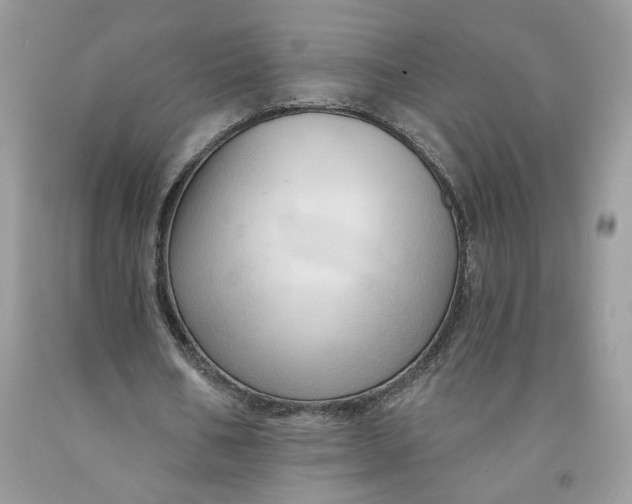 X0000091460578200709061758