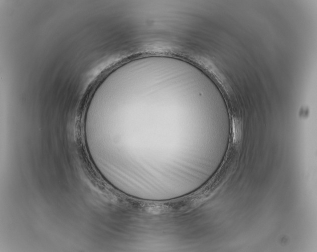 X0000091460579200709061758