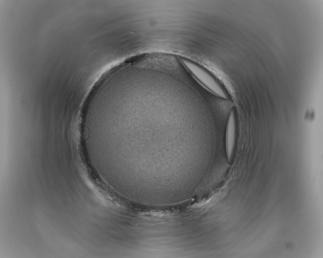 X0000091460580200709061758