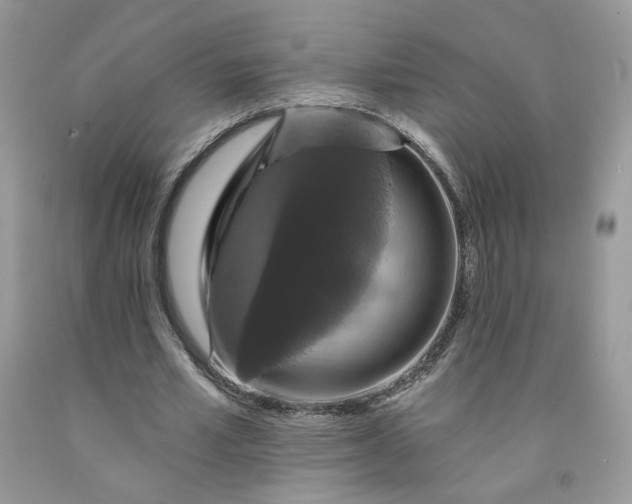 X0000091460581200709061758