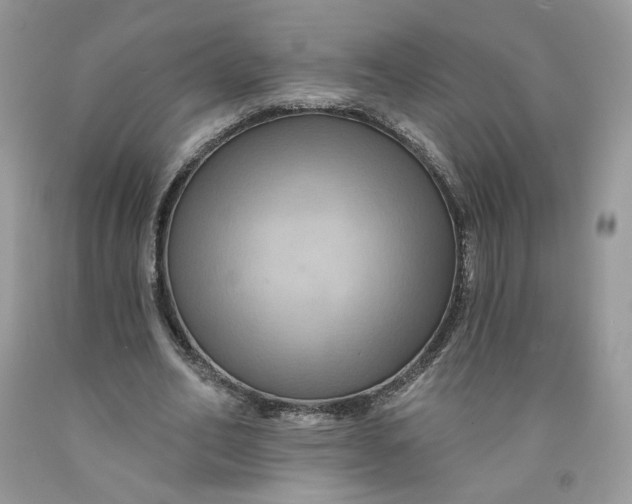 X0000091460582200709061758