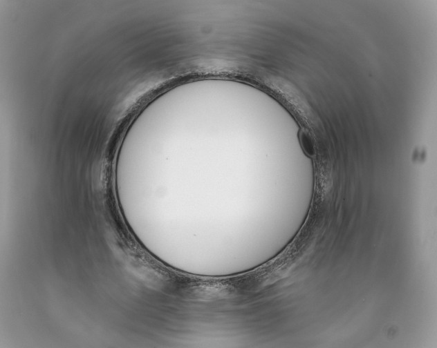 X0000091460583200709061758