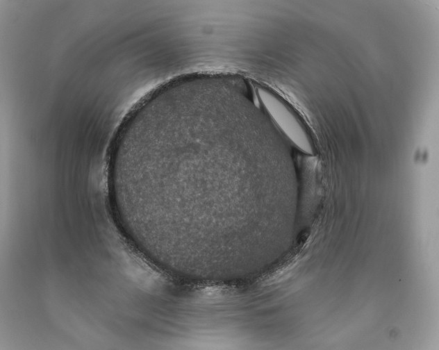 X0000091460584200709061758