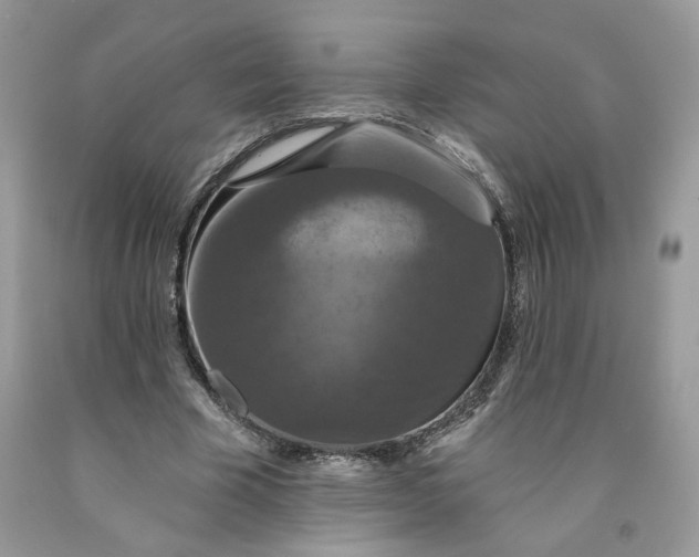 X0000091460585200709061758