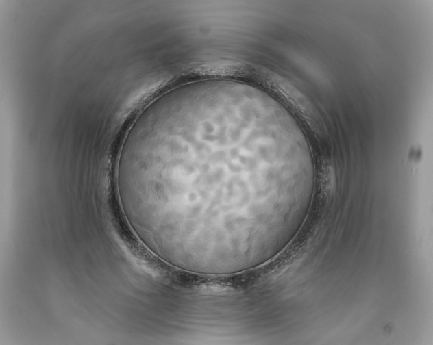 X0000091460586200709061758