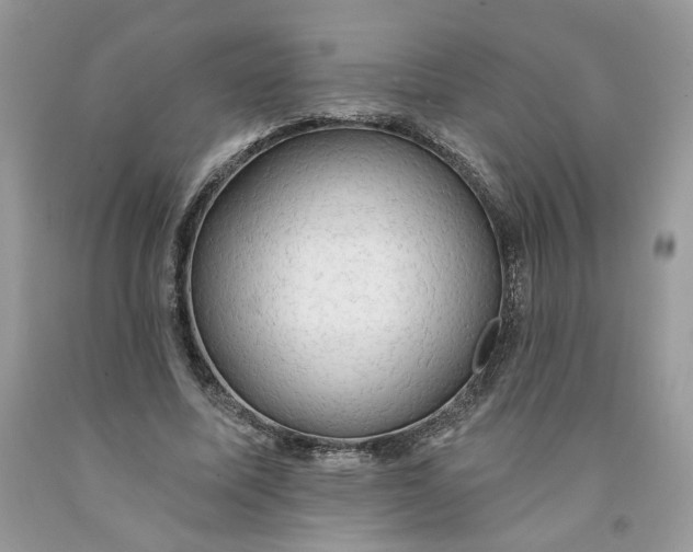 X0000091460587200709061758