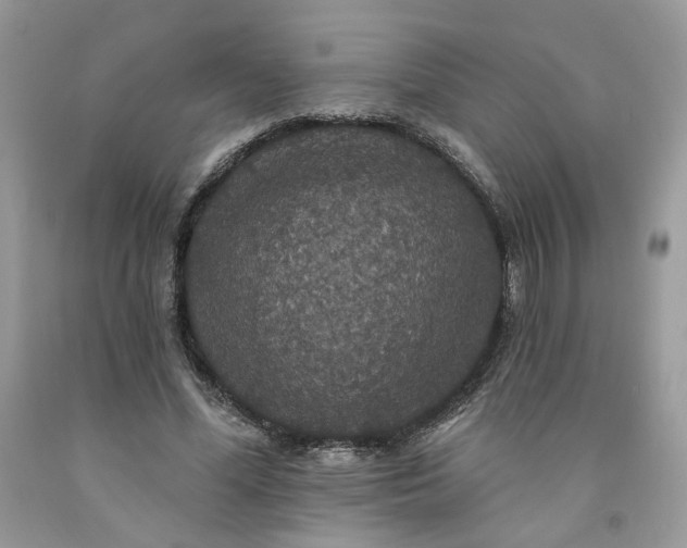 X0000091460588200709061758