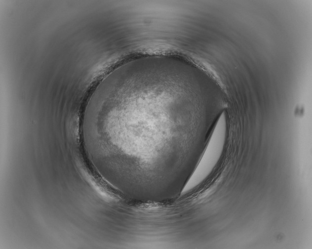 X0000091460589200709061758