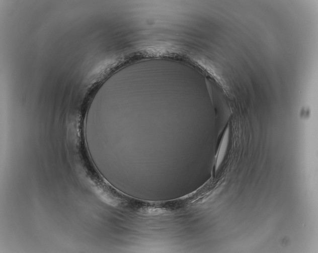 X0000091460590200709061758