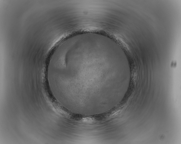 X0000091460591200709061758