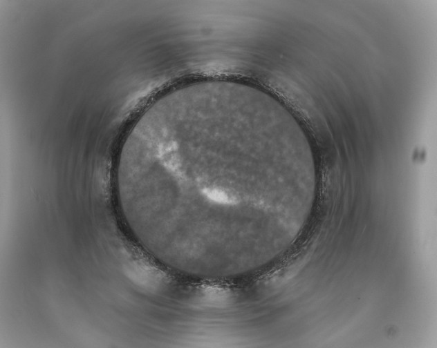 X0000091460592200709061758