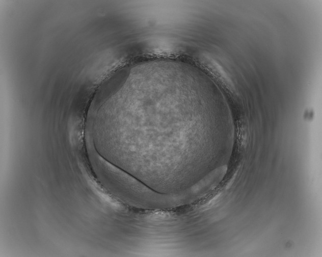 X0000091460593200709061758