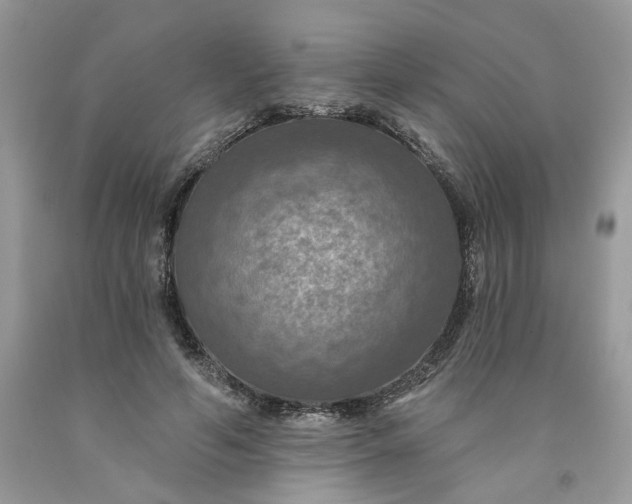 X0000091460594200709061758