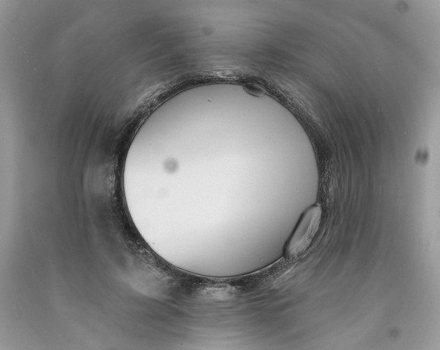 X0000091460595200709061758